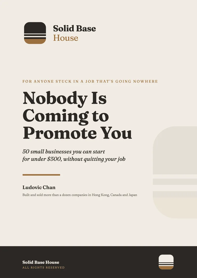 Nobody Is Coming to Promote You book cover